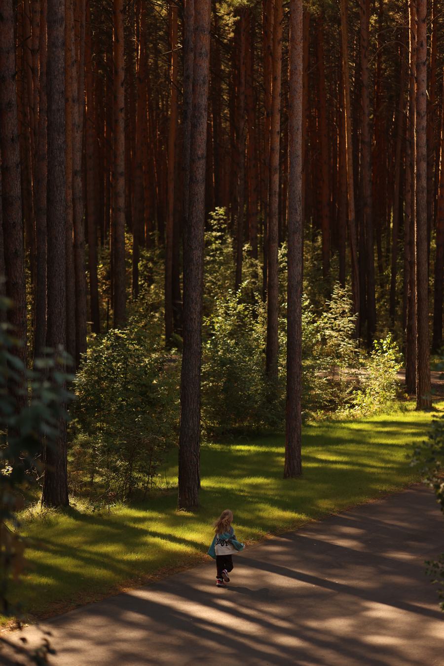прогулка